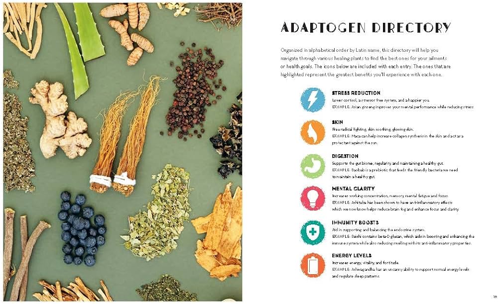 Evidence-Based Herbs & Adaptogens for Anxiety