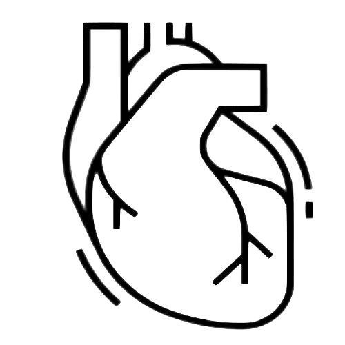 Icon for CARDIOVASCULAR CONDITIONS (Hypertension (high blood pressure), Palpitations, Raynauds disease), Boosting immune function, Autoimmune conditions support.