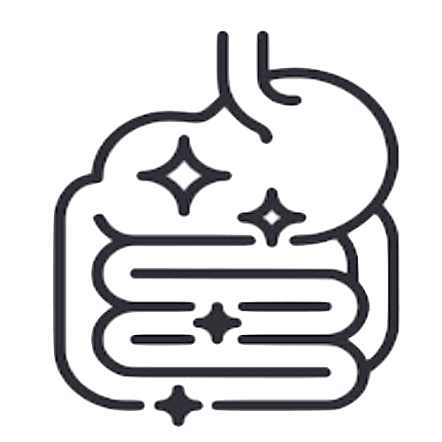 Icon for DIGESTIVE DISORDERS (Irritable bowel syndrome (IBS), Acid reflux and heartburn, Indigestion, Nausea and vomiting, Constipation, Diarrhea),