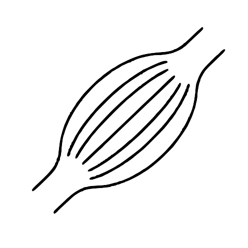 Icon for MUSCOLOSKELETAL CONDITIONS (Sciatica, Carpal tunnel syndrome, Multiple sclerosis (MS), Parkinsons disease, Stroke rehabilitation, Bells palsy, Peripheral neuropathy),
