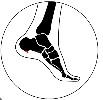 Podiatrist